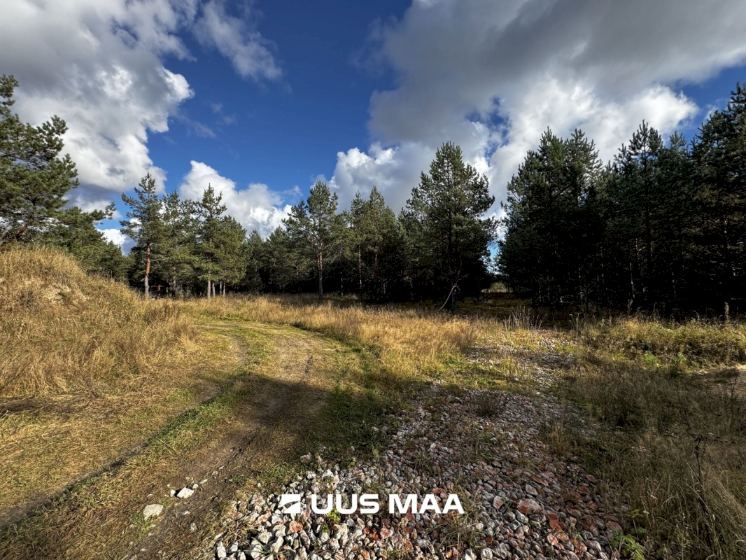 Alutaguse vald, Kauksi küla, Männivälja