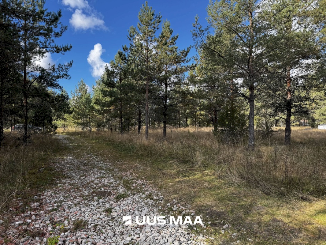 Alutaguse vald, Kauksi küla, Männivälja