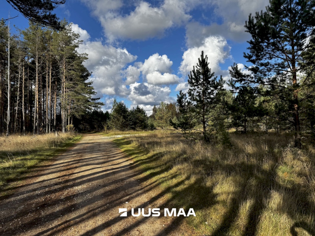 Alutaguse vald, Kauksi küla, Männivälja