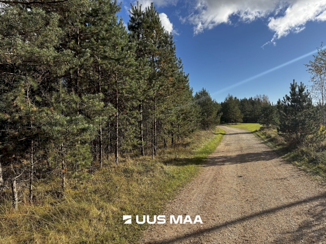 Alutaguse vald, Kauksi küla, Männivälja