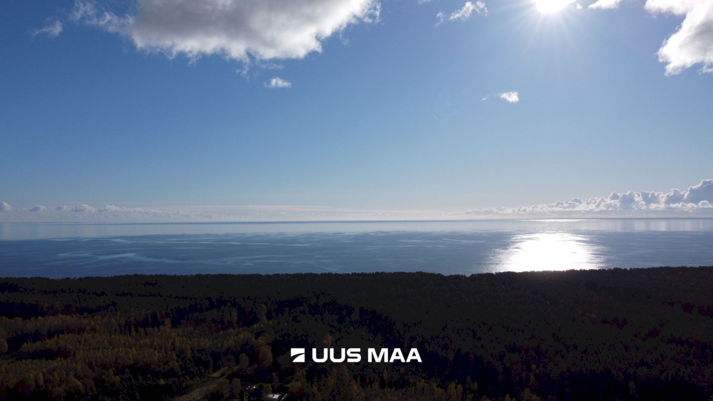 Alutaguse vald, Kauksi küla, Männivälja