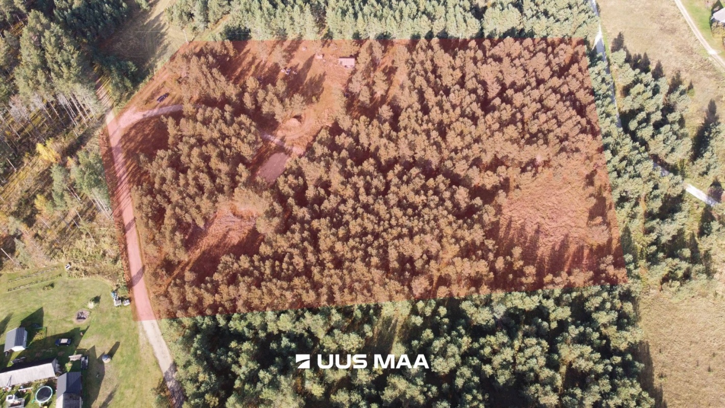 Alutaguse vald, Kauksi küla, Männivälja