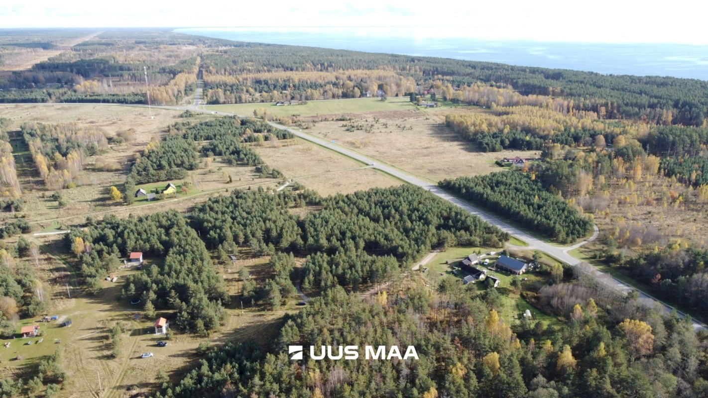 Alutaguse vald, Kauksi küla, Männivälja