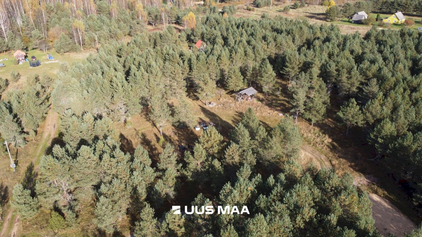 Alutaguse vald, Kauksi küla, Männivälja