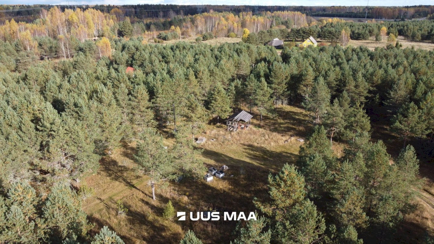Alutaguse vald, Kauksi küla, Männivälja