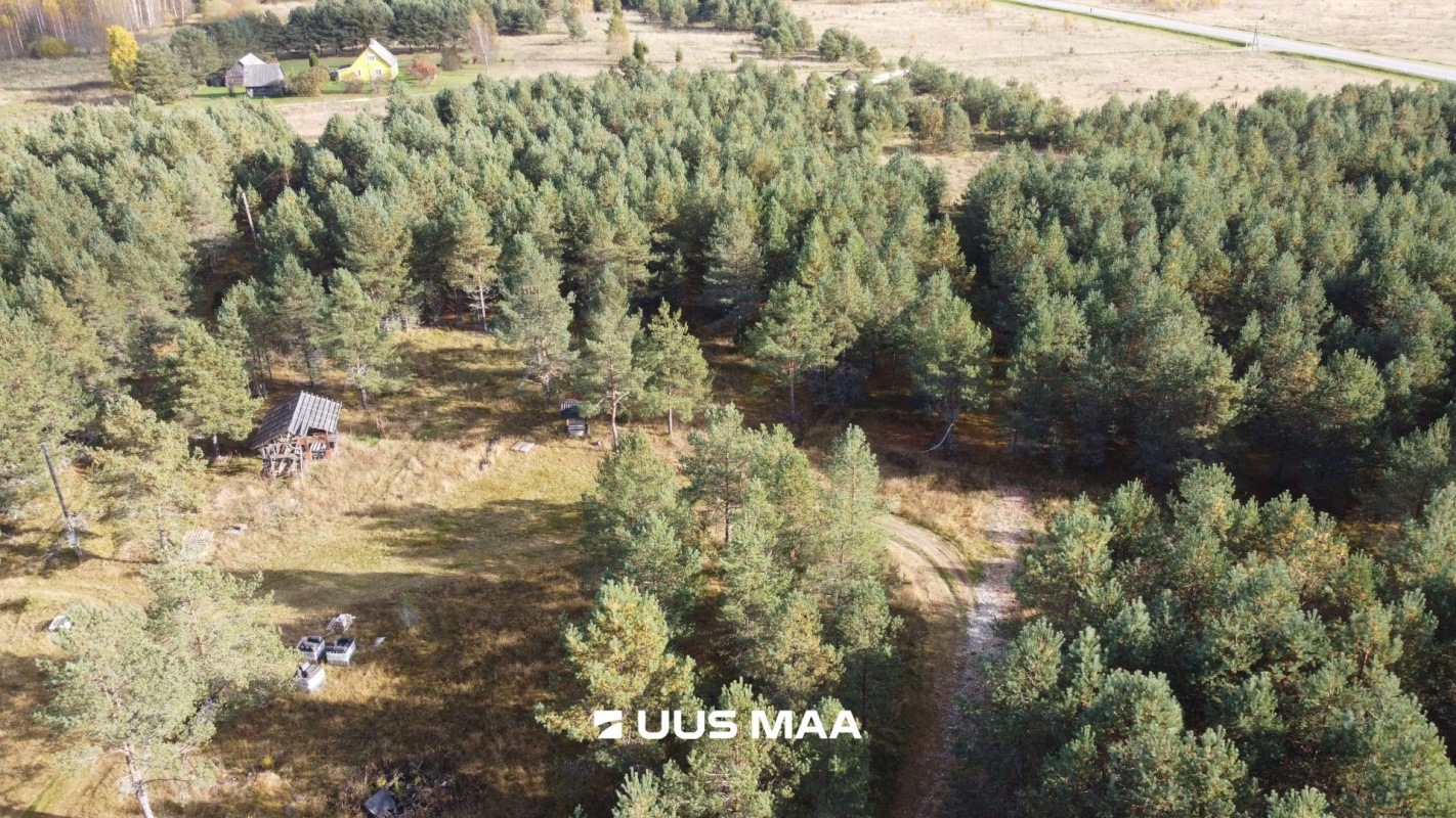 Alutaguse vald, Kauksi küla, Männivälja