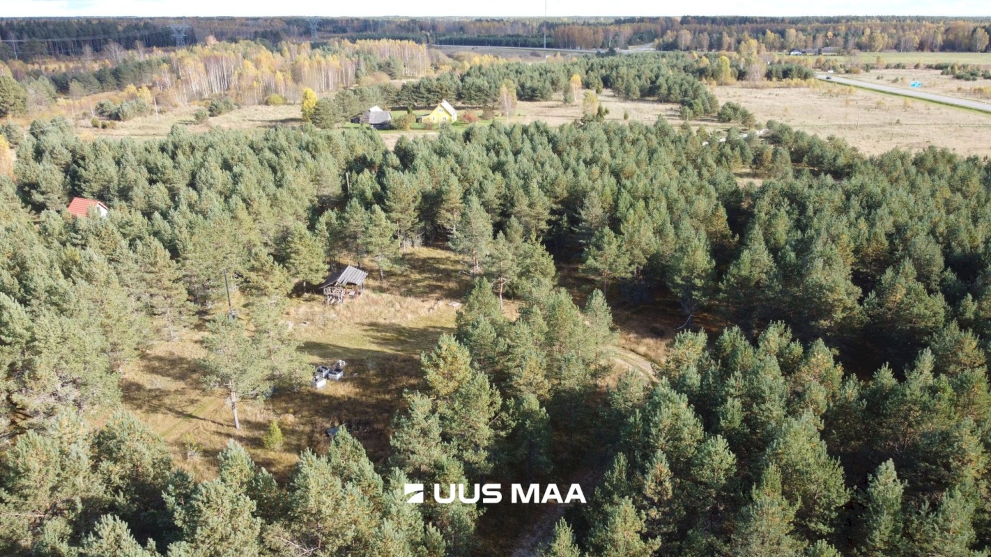 Alutaguse vald, Kauksi küla, Männivälja