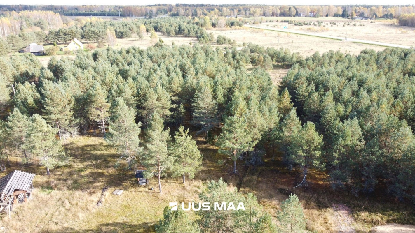 Alutaguse vald, Kauksi küla, Männivälja