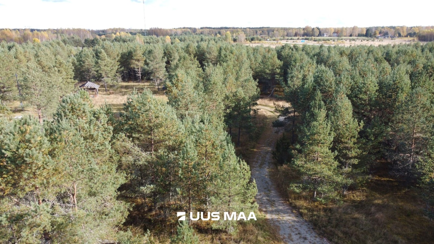 Alutaguse vald, Kauksi küla, Männivälja