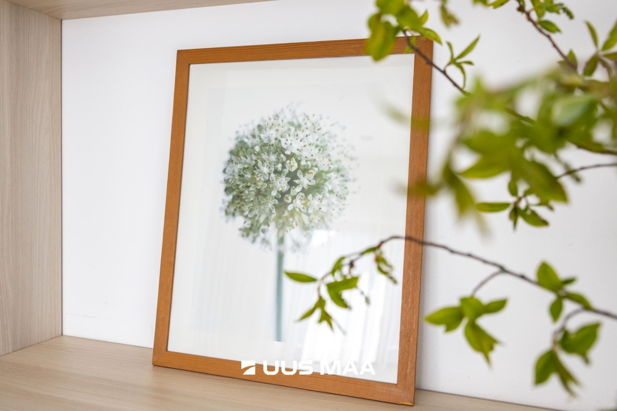 Harku vald, Ilmandu küla, Kadaka tee