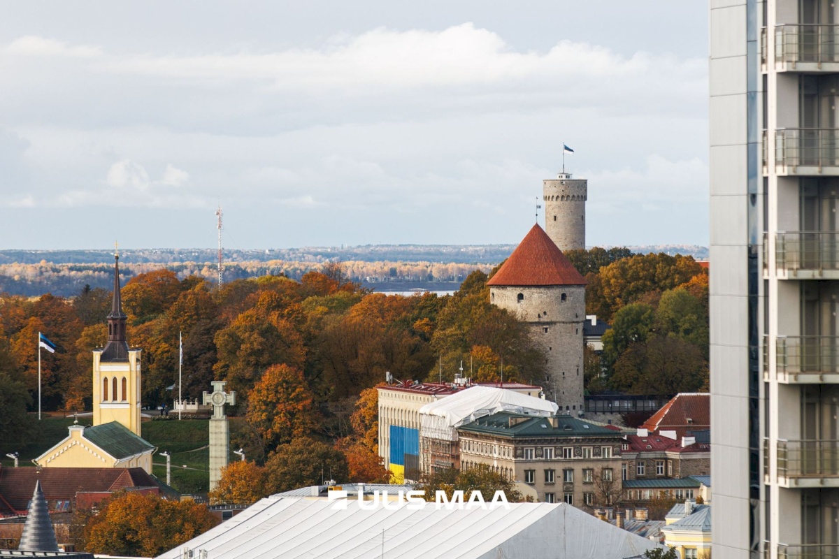 Tallinn, Kesklinna linnaosa, Tornimäe 7