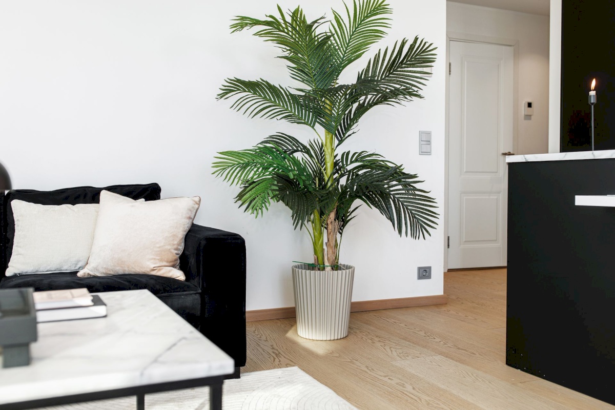 Tallinn, Kristiine linnaosa, Järve 2