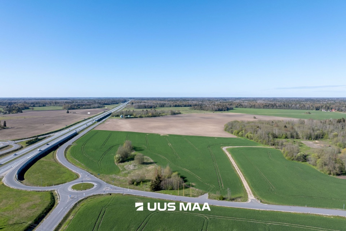 Kose vald, Kolu küla