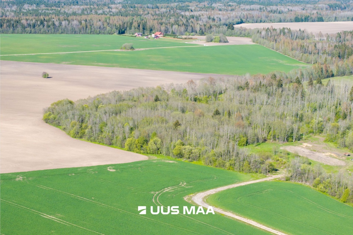 Kose vald, Kolu küla