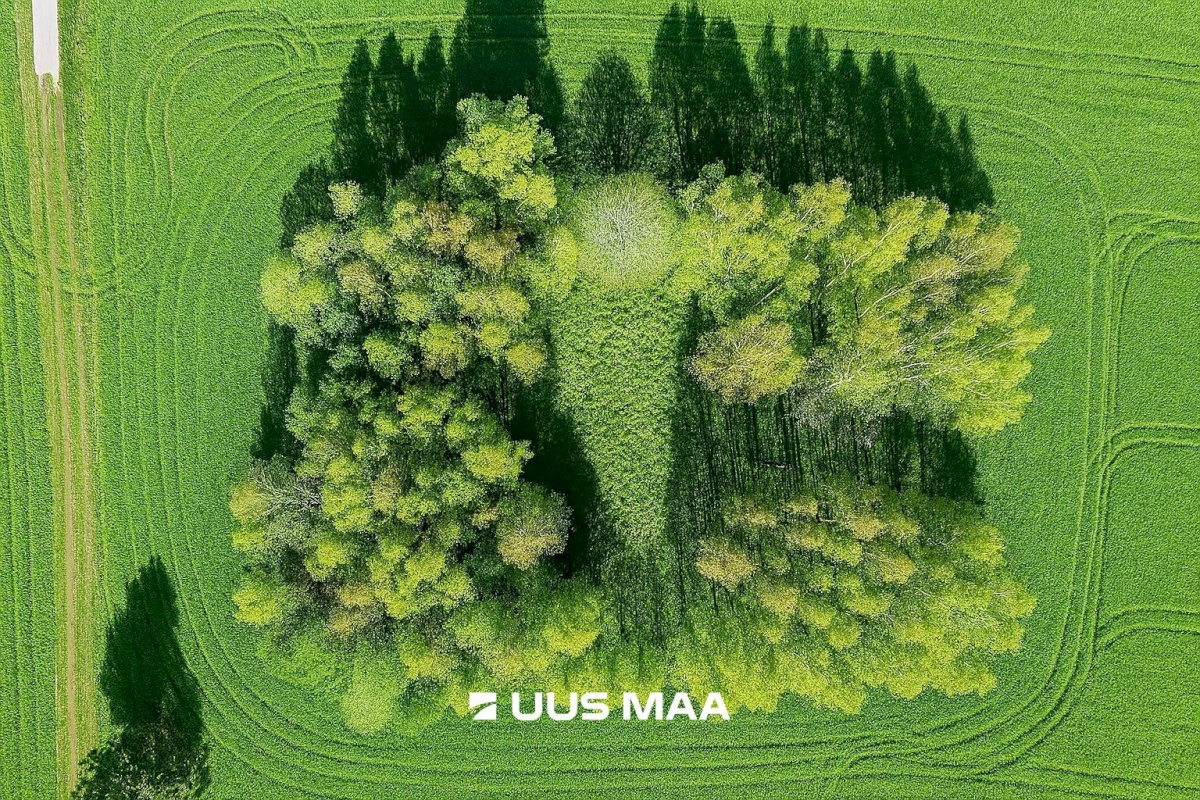 Kose vald, Rõõsa küla