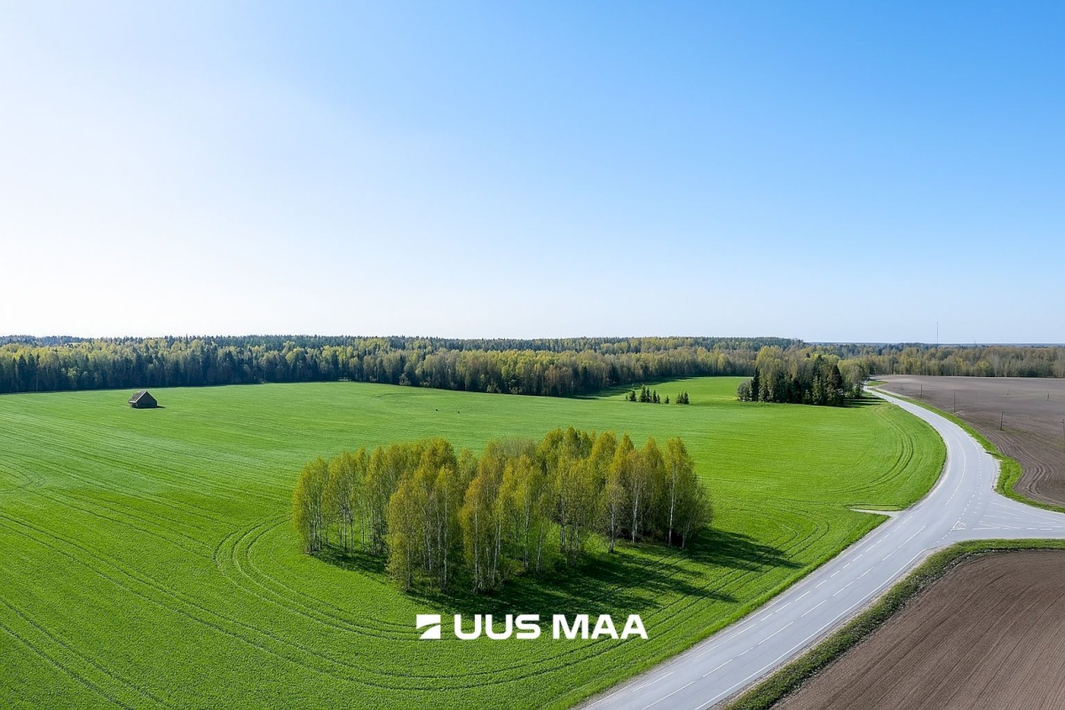 Kose vald, Rõõsa küla