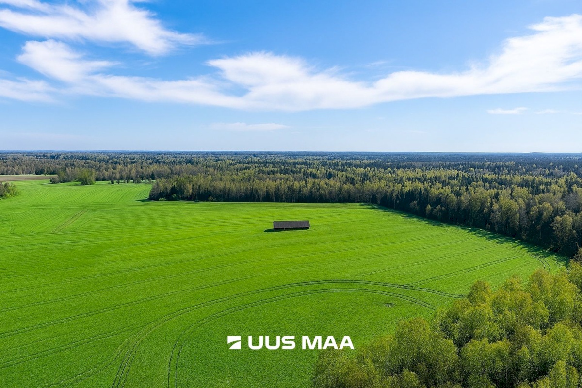 Kose vald, Rõõsa küla