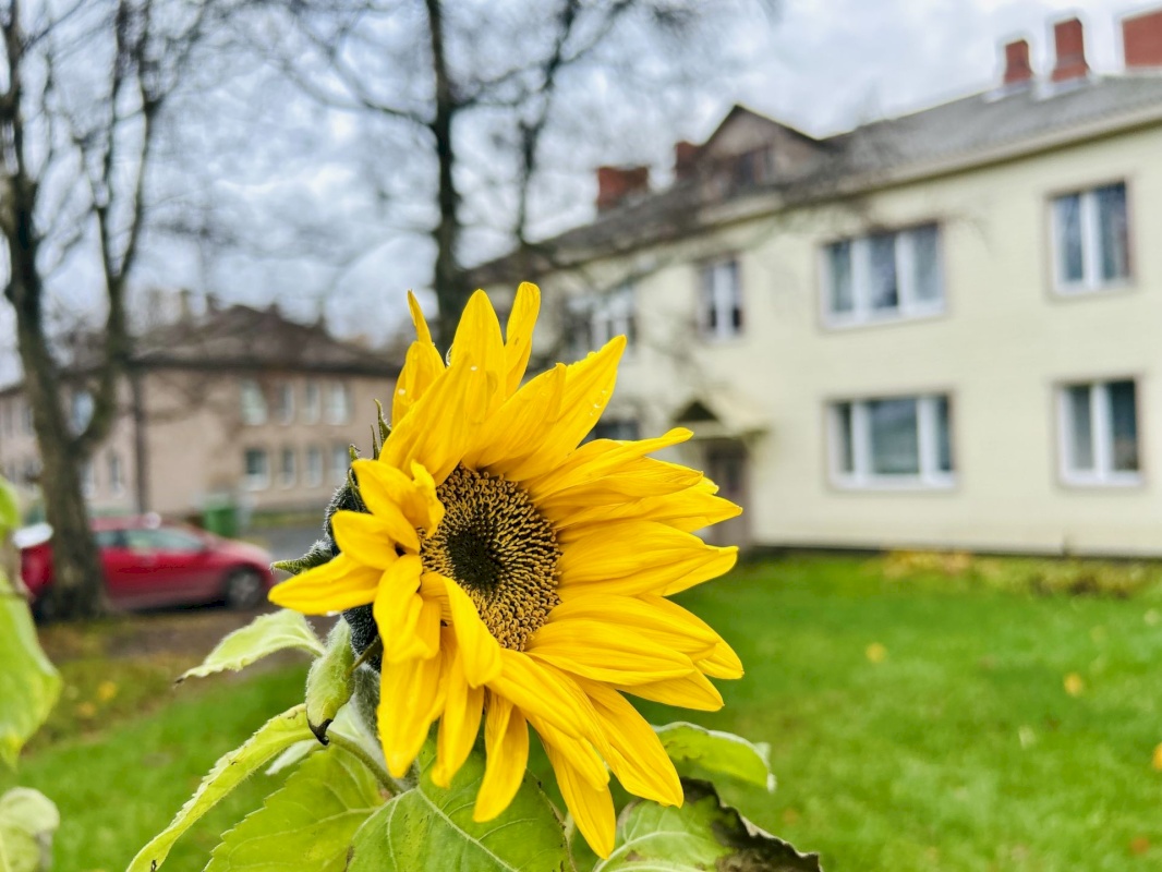Tallinn, Põhja-Tallinna linnaosa, Kopliranna tn 16
