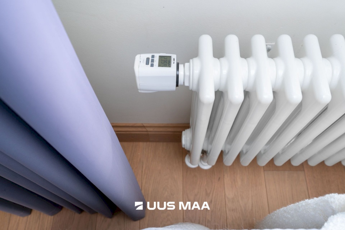 Tallinn, Kesklinna linnaosa, Uus Maailm, Koidu 100