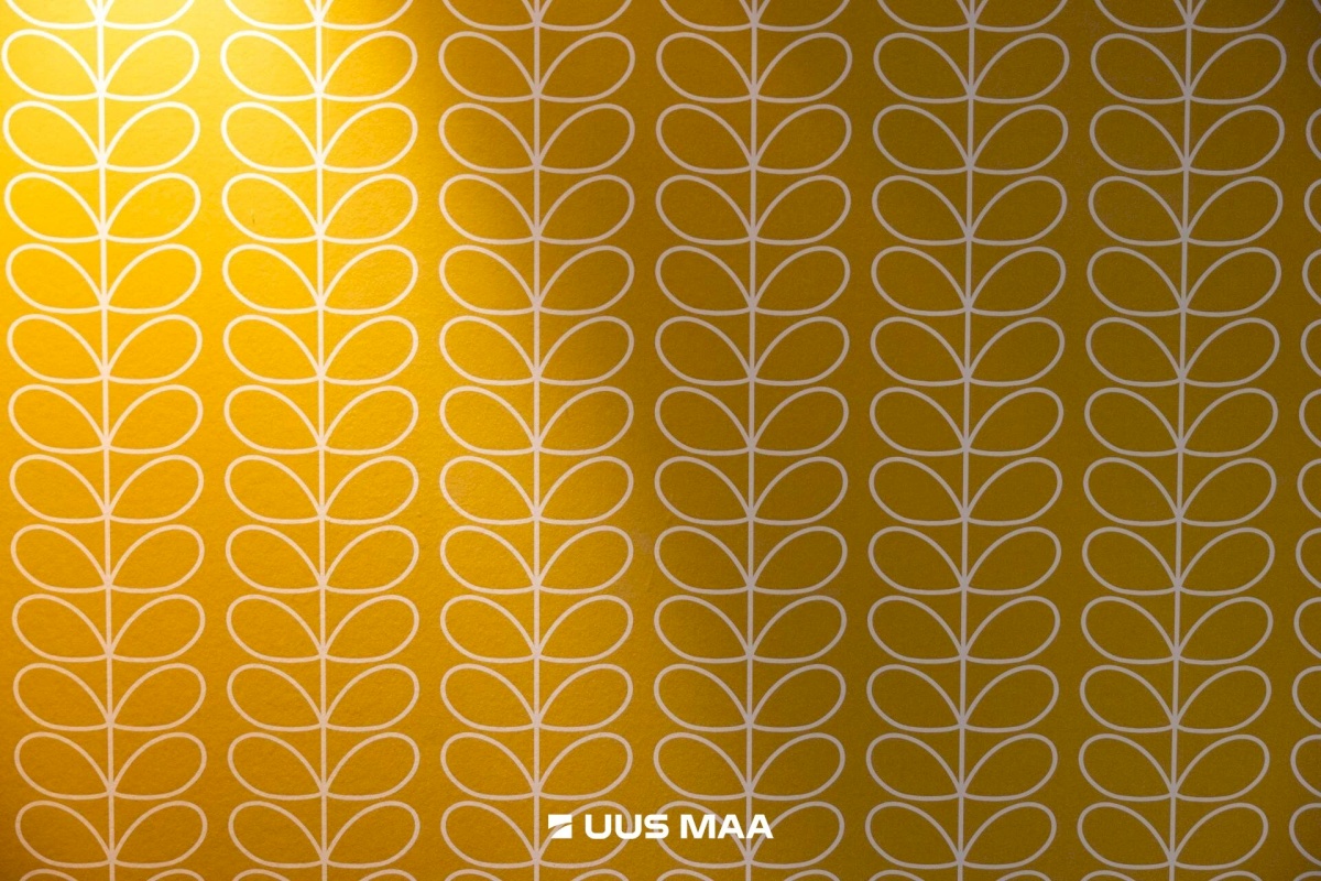 Tallinn, Põhja-Tallinna linnaosa, Kalamaja, Valgevase tn 11a/2