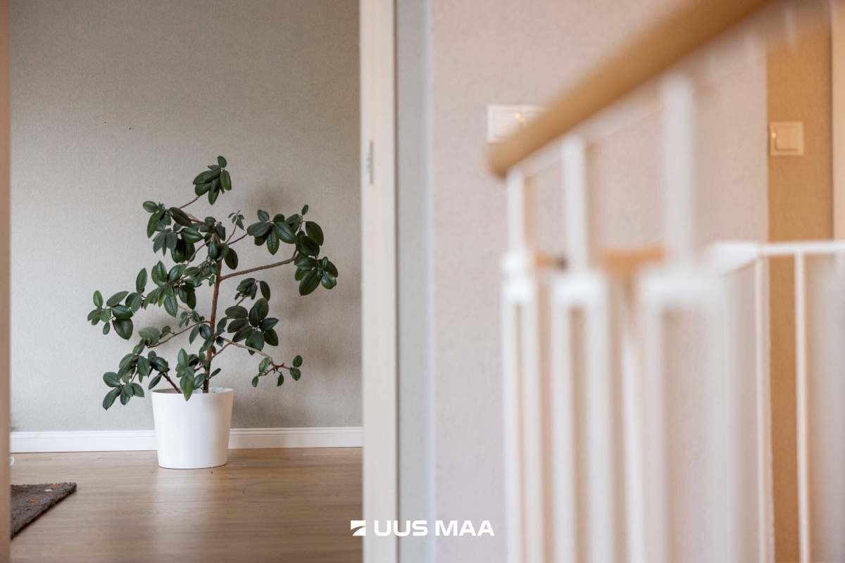 Tallinn, Põhja-Tallinna linnaosa, Kalamaja, Valgevase tn 11a/2