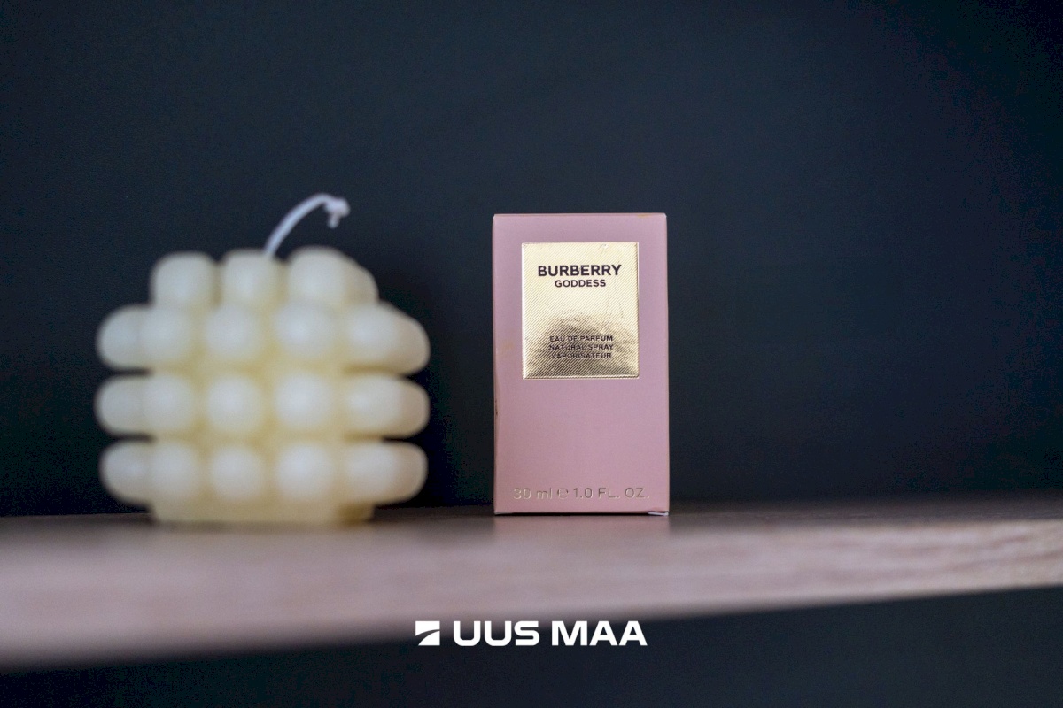 Tallinn, Kesklinna linnaosa, Südalinn, Gonsiori 28