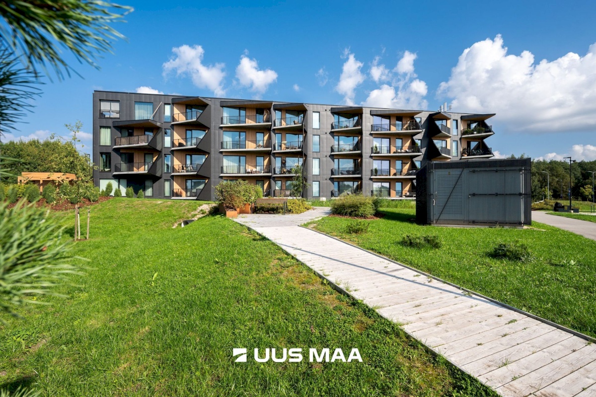 Tallinn, Põhja-Tallinna linnaosa, Lahepea 11