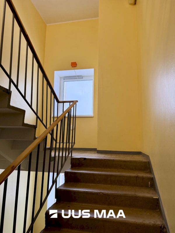 Viljandi linn, Männimäe, Reinu tee 19a