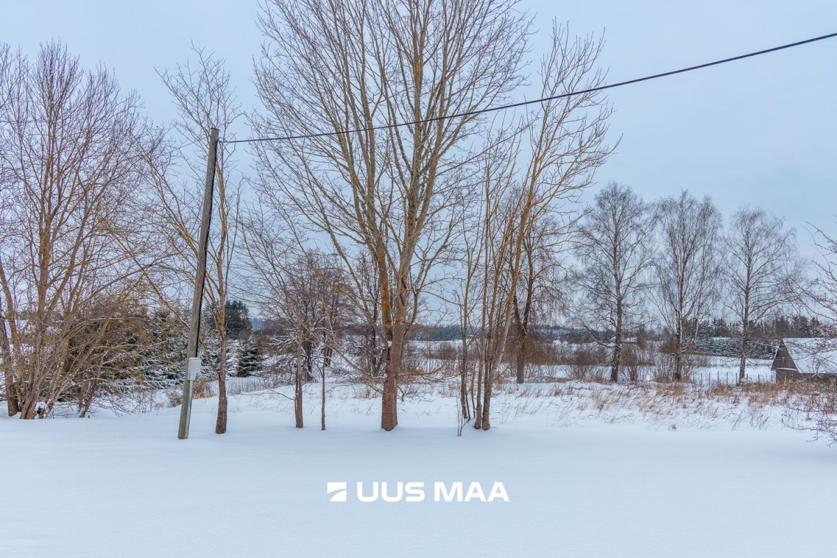 Tartu vald, Laeva küla, Väänikvere tee 5a