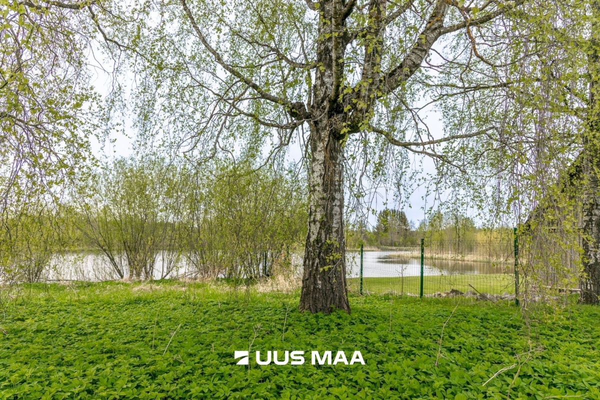 Tartu vald, Laeva küla, Väänikvere tee 5a