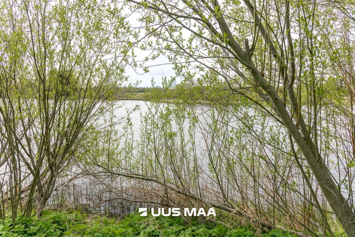 Tartu vald, Laeva küla, Väänikvere tee 5a