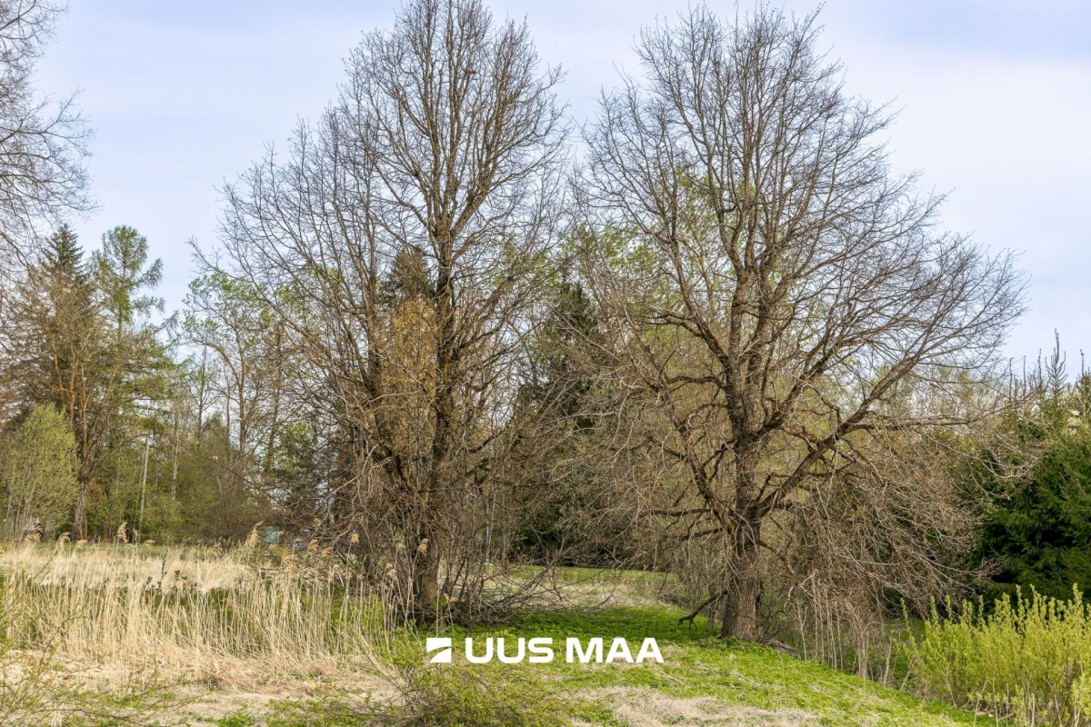 Tartu vald, Laeva küla, Väänikvere tee 5a
