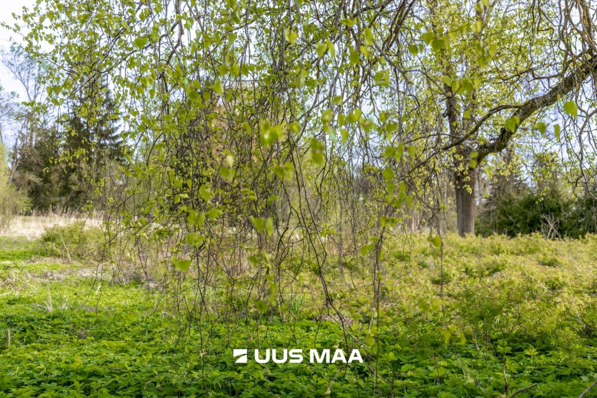 Tartu vald, Laeva küla, Väänikvere tee 5a