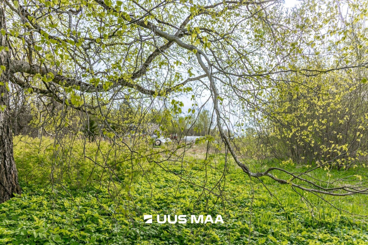 Tartu vald, Laeva küla, Väänikvere tee 5a