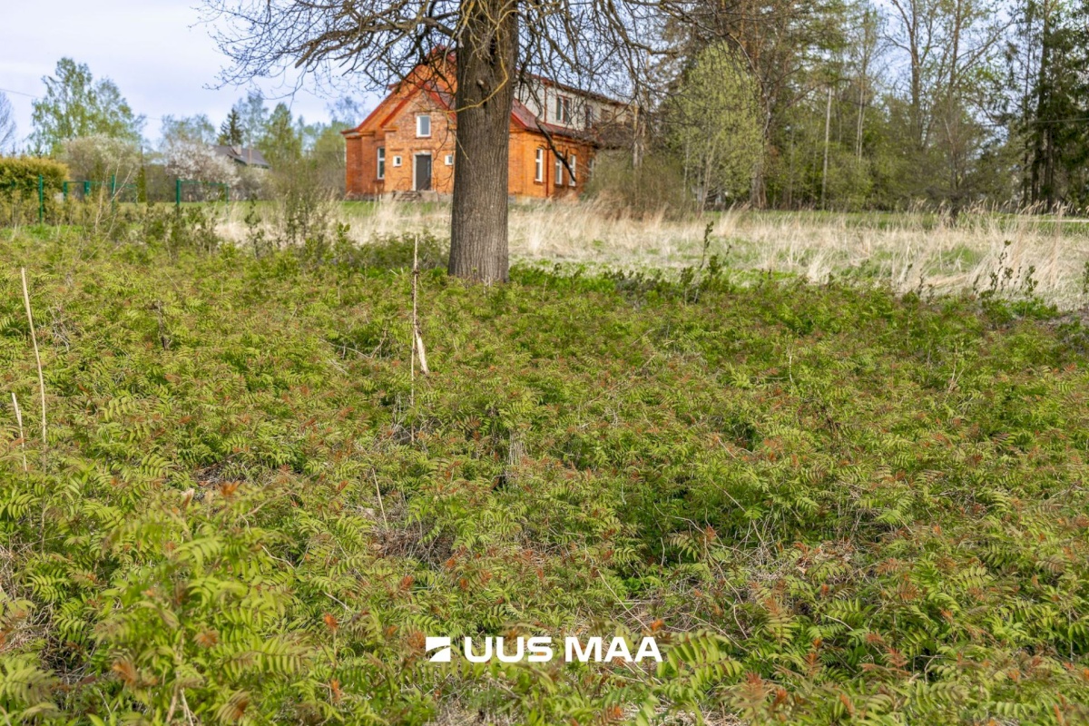 Tartu vald, Laeva küla, Väänikvere tee 5a