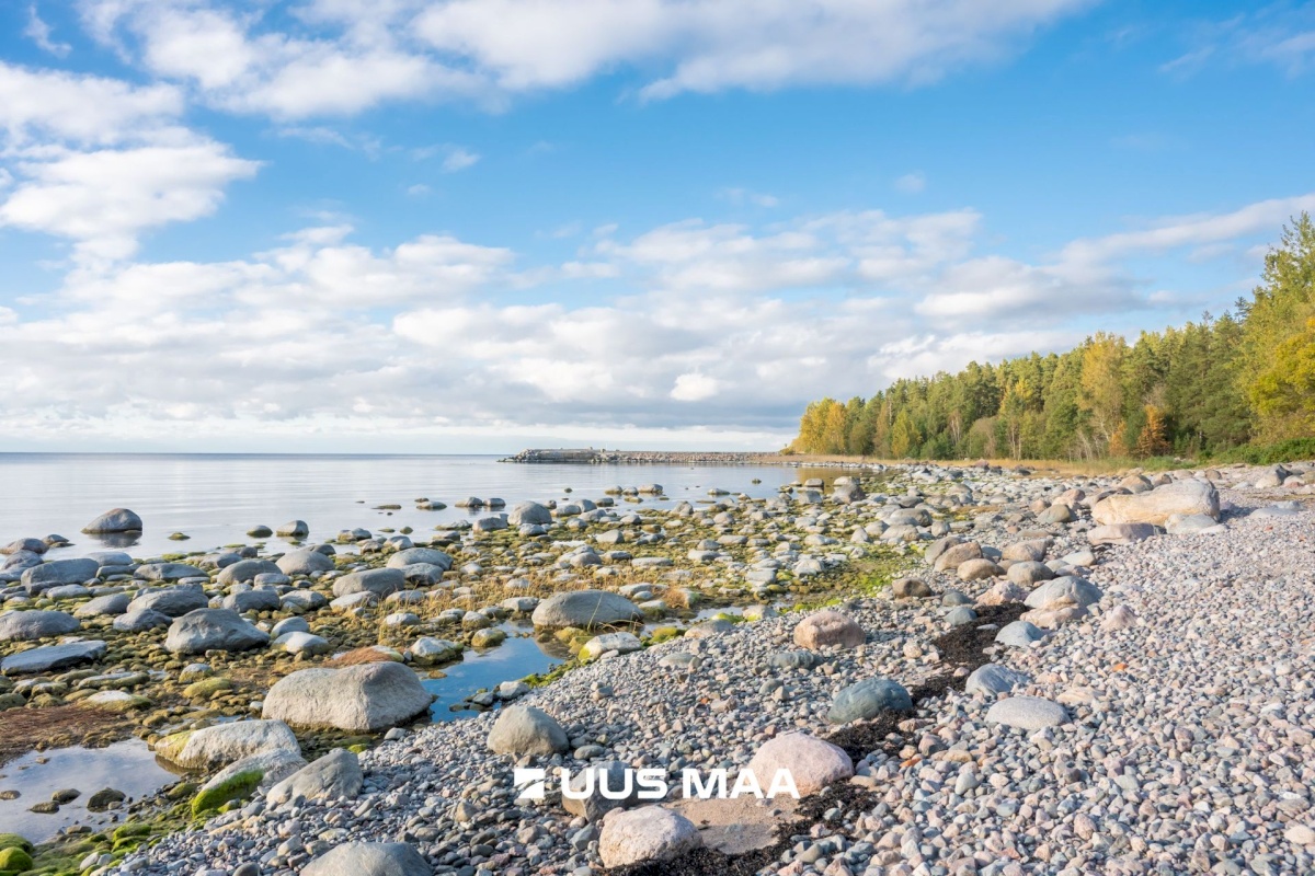 Kuusalu vald, Suurpea küla, Lahe põik 2