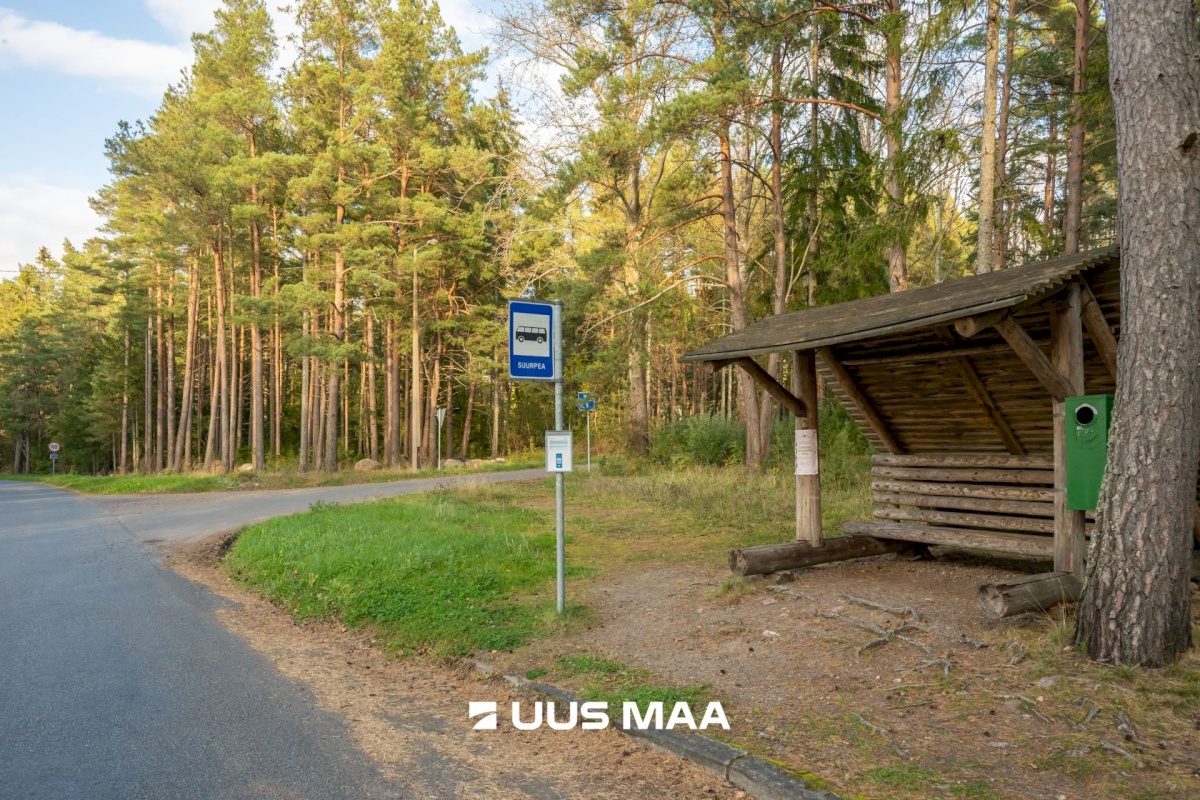 Kuusalu vald, Suurpea küla, Lahe põik 2