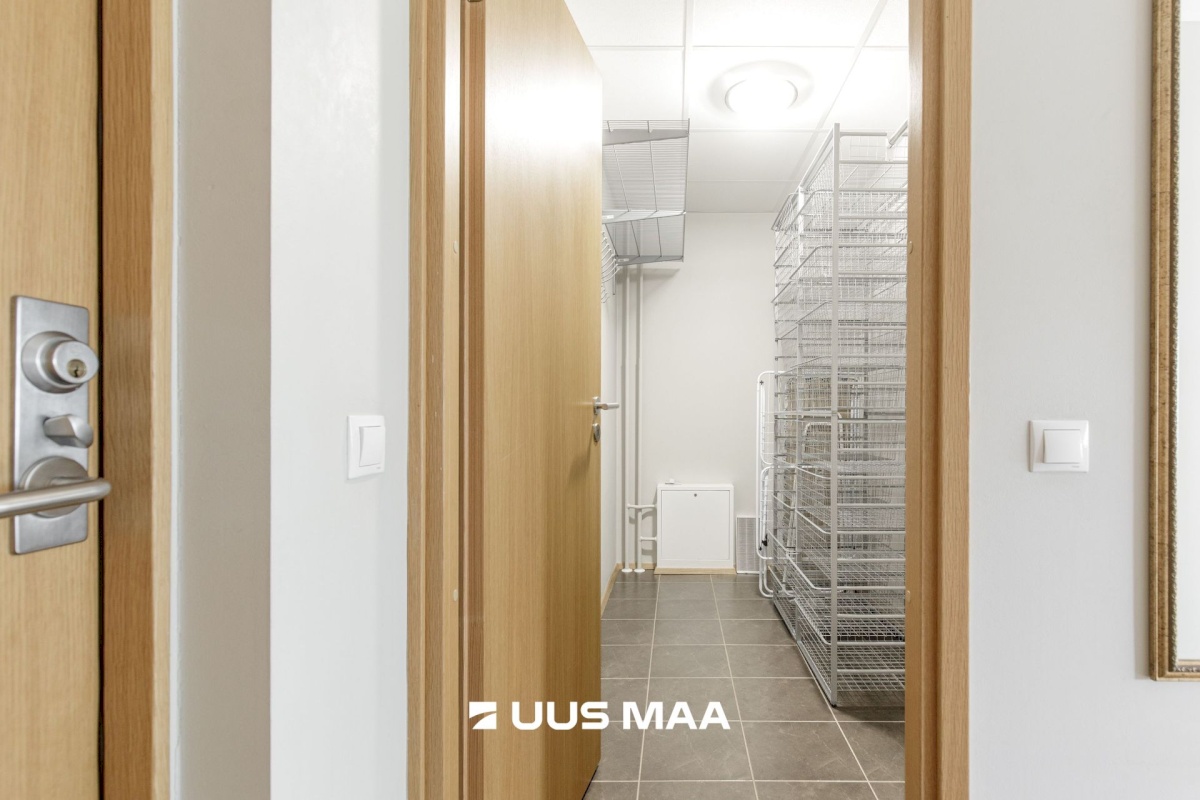 Tallinn, Kesklinna linnaosa, Suve 2