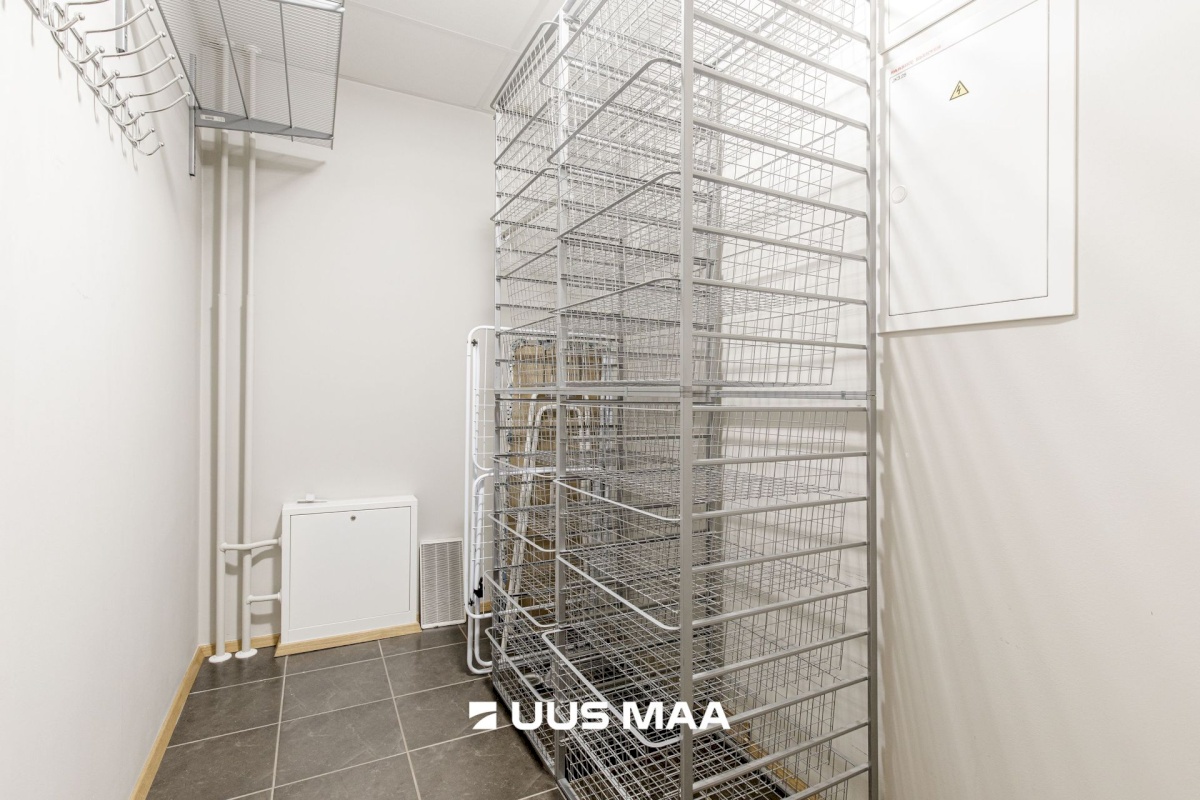 Tallinn, Kesklinna linnaosa, Suve 2