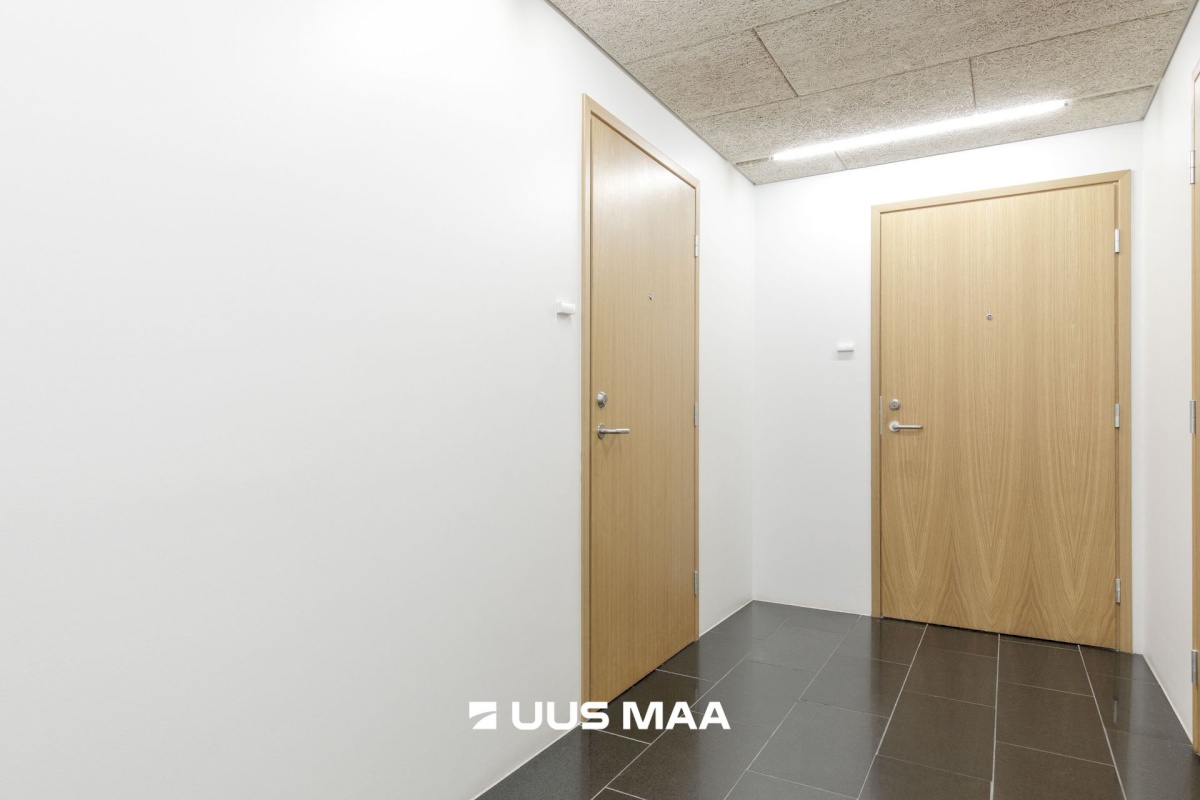 Tallinn, Kesklinna linnaosa, Suve 2