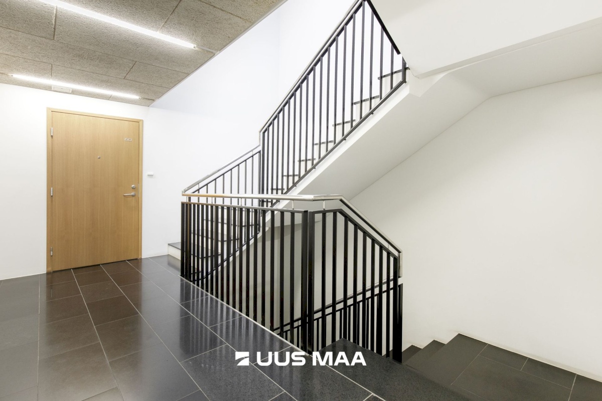 Tallinn, Kesklinna linnaosa, Suve 2