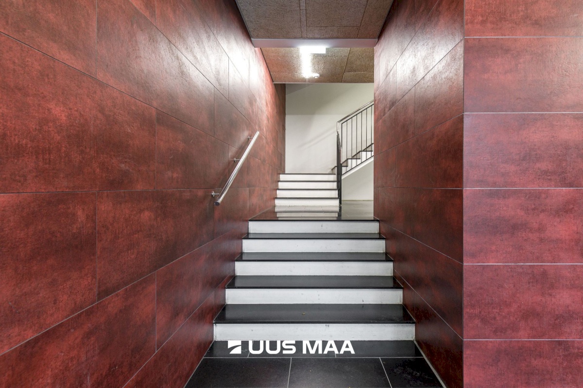 Tallinn, Kesklinna linnaosa, Suve 2