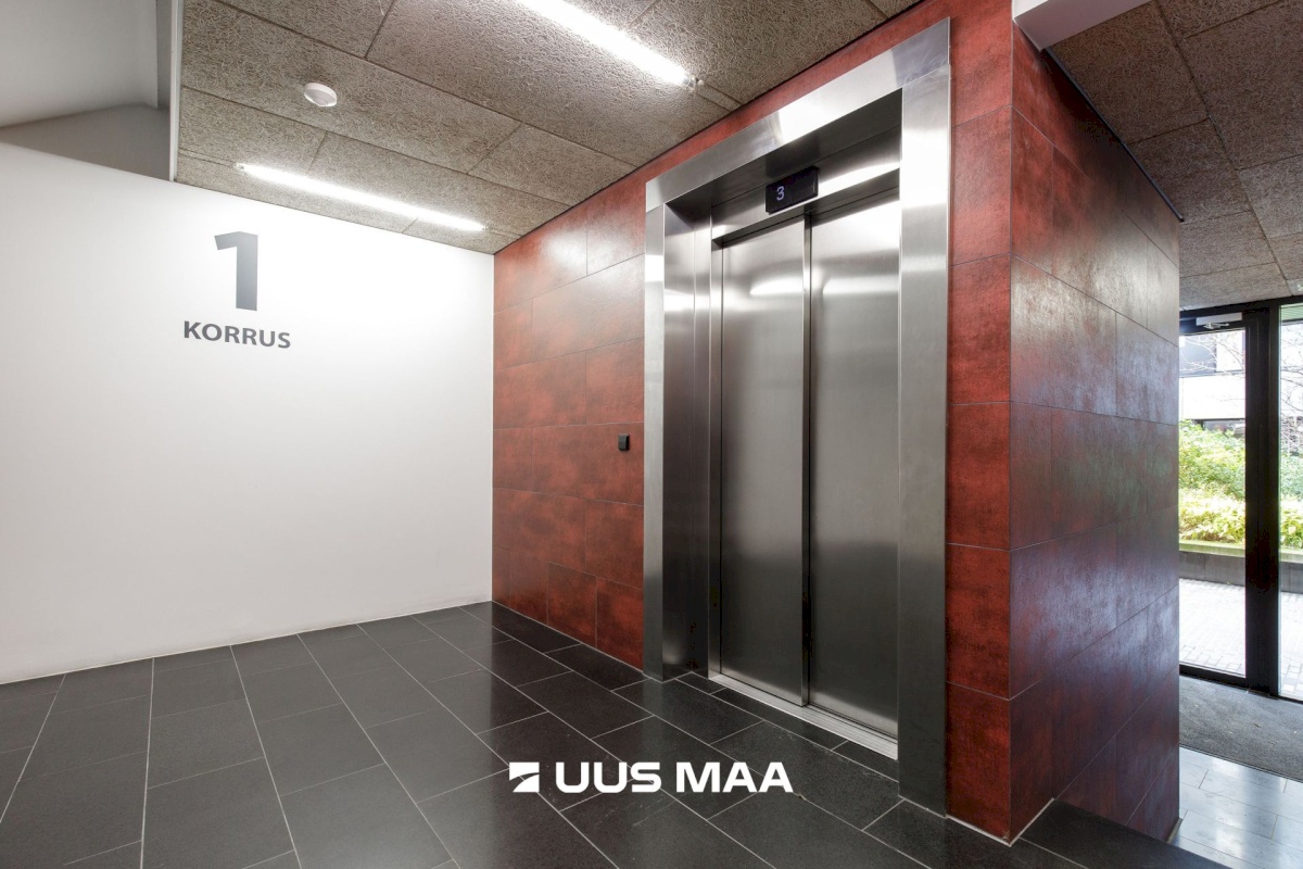 Tallinn, Kesklinna linnaosa, Suve 2