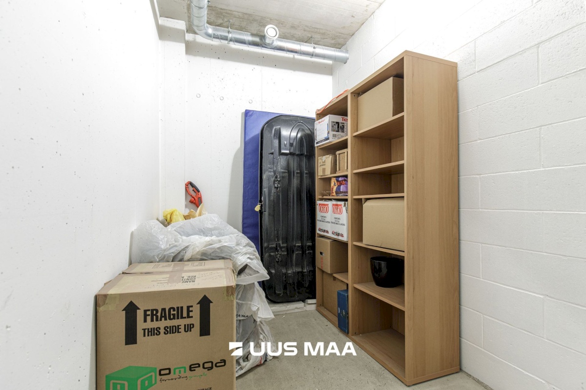 Tallinn, Kesklinna linnaosa, Suve 2