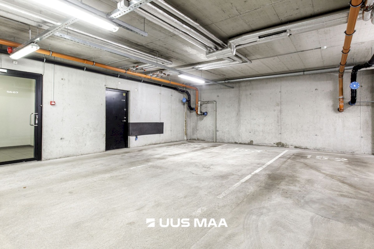 Tallinn, Kesklinna linnaosa, Suve 2