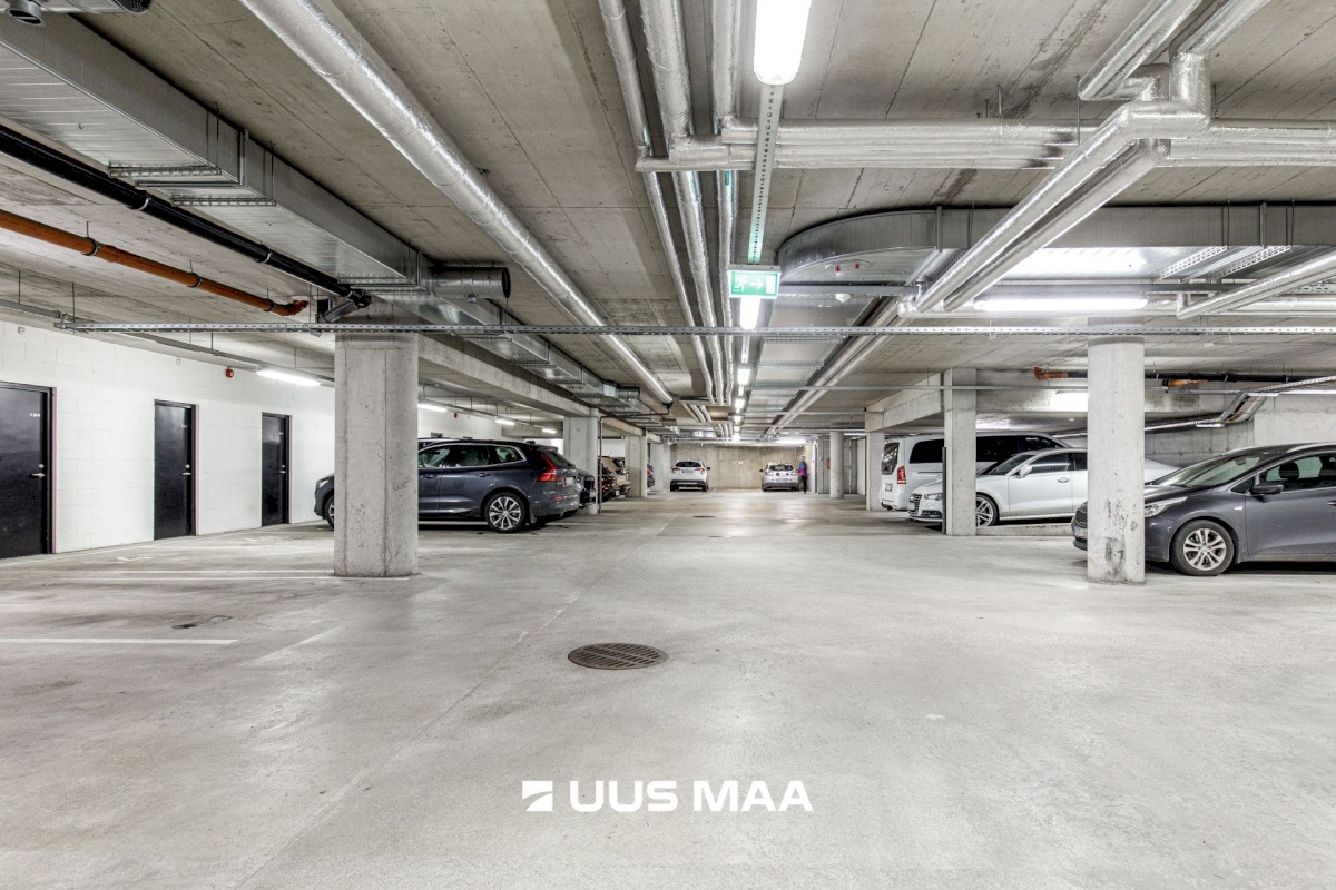 Tallinn, Kesklinna linnaosa, Suve 2