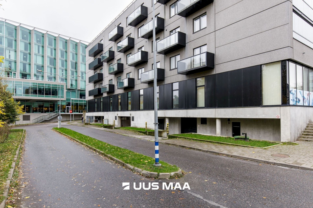 Tallinn, Kesklinna linnaosa, Suve 2