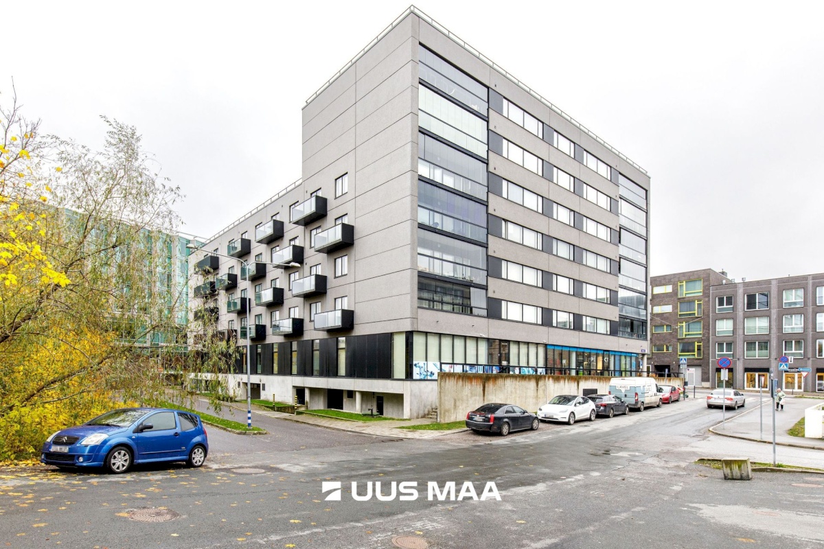 Tallinn, Kesklinna linnaosa, Suve 2