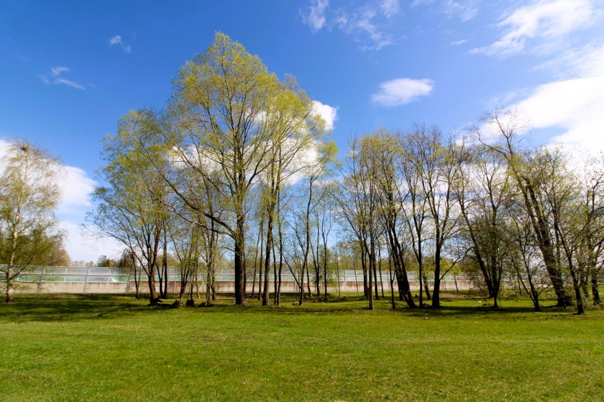 Pärnu linn, Pärnu linn, Ülejõe, Kuldse Kodu 5