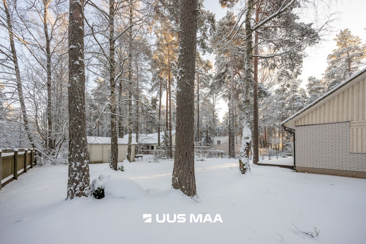 Kiili vald, Kangru alevik, Heina 1A